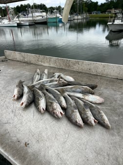 Fishing in Beaufort, North Carolina