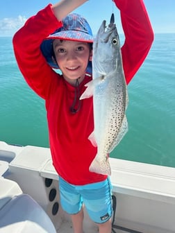 Fishing in Naples, Florida