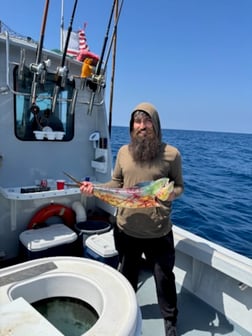 Fishing in Marina del Rey, California