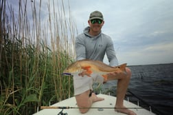 Fishing in Apalachicola, Florida