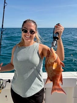 Fishing in Tarpon Springs, Florida