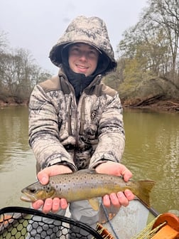 Fishing in Roswell, Georgia