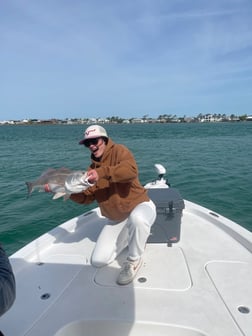 Fishing in Orange Beach, Alabama