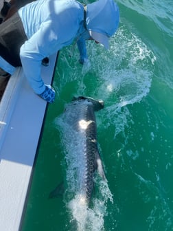 Fishing in Boca Grande, Florida