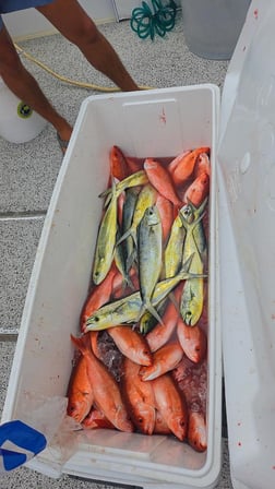 Fishing in Orange Beach, Alabama