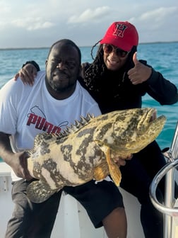 Mangrove Snapper, Yellowtail Snapper Fishing in Key Largo, Florida