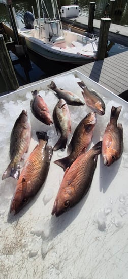 Fishing in Vero Beach, Florida