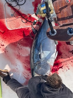 Fishing in Wanchese, North Carolina