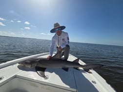 Fishing in Naples, Florida