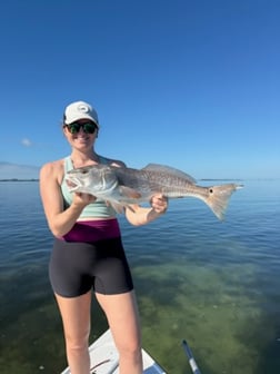 Fishing in St. Petersburg, Florida