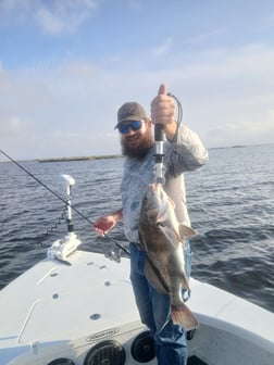 Fishing in Lafitte, Louisiana