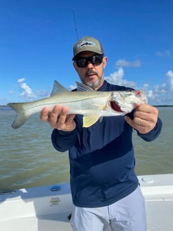Fishing in Islamorada, Florida