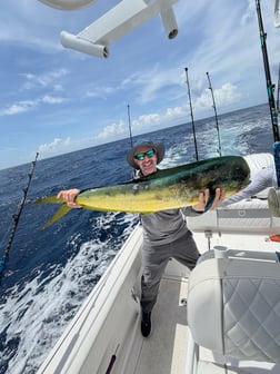 Fishing in Morehead City, North Carolina