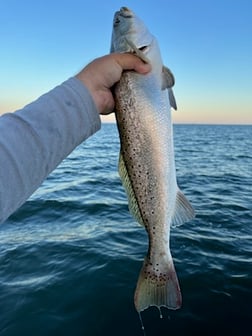 Fishing in Harlingen, Texas