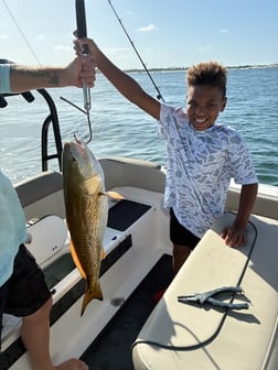 Fishing in Panama City, Florida
