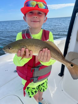 Fishing in Tarpon Springs, Florida