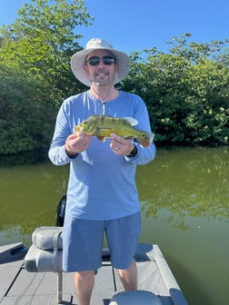 Fishing in Miami, Florida
