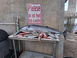 Fishing in Port Orange, Florida
