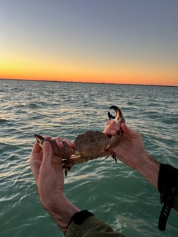 Fishing in Matlacha, Florida