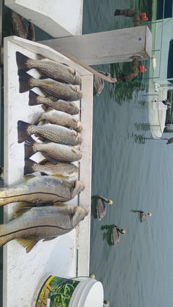 Fishing in Bradenton, Florida