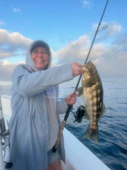 Fishing in Long Beach, California
