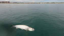 Fishing in New Smyrna Beach, Florida