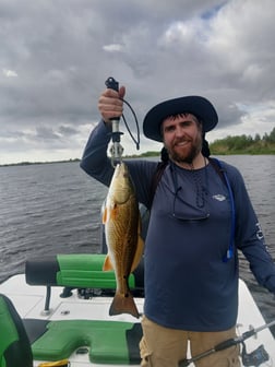 Fishing in Lafitte, Louisiana