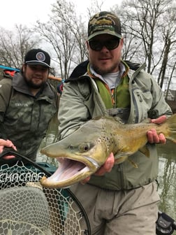 Fishing in Roswell, Georgia