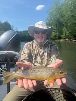 Fishing in Roswell, Georgia