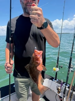 Fishing in St. Petersburg, Florida