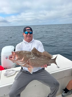 Fishing in Sarasota, Florida