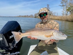 Fishing in Apalachicola, Florida