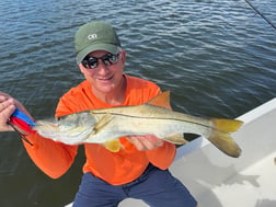 Fishing in St. Petersburg, Florida