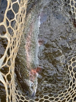 Fishing in Broken Bow, Oklahoma