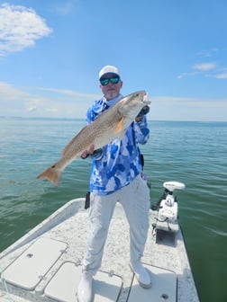 Fishing in Yankeetown, Florida