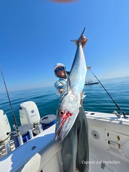 Fishing in St. Petersburg, Florida