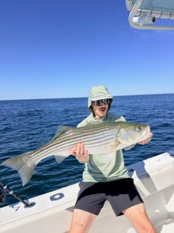 Fishing in Truro, Massachusetts
