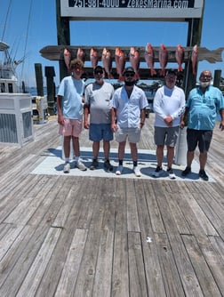 Fishing in Orange Beach, Alabama