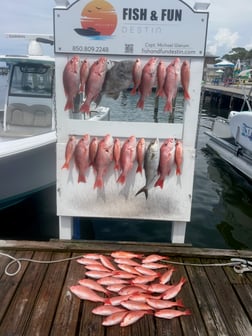 Fishing in Destin, Florida