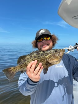 Fishing in Hudson, Florida