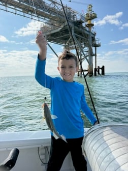 Fishing in Gulf Shores, Alabama