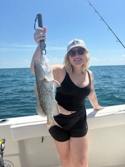 Fishing in Tarpon Springs, Florida
