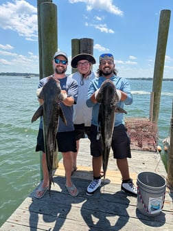 Fishing in Virginia Beach, Virginia