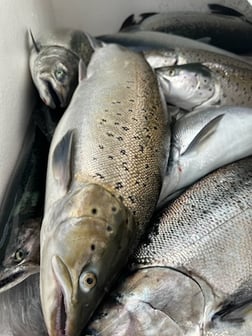 Fishing in Kenosha, Wisconsin