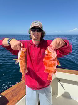 Fishing in Dana Point, California