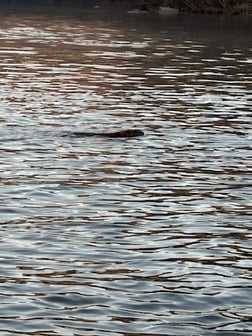 Fishing in Broken Bow, Oklahoma