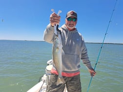 Fishing in St. Petersburg, Florida