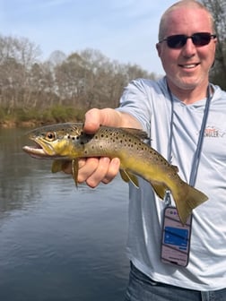 Fishing in Roswell, Georgia