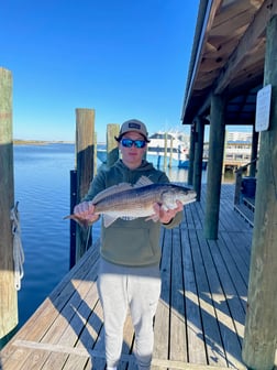 Fishing in Orange Beach, Alabama