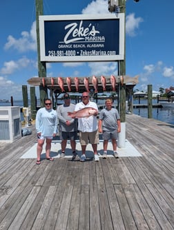 Fishing in Orange Beach, Alabama